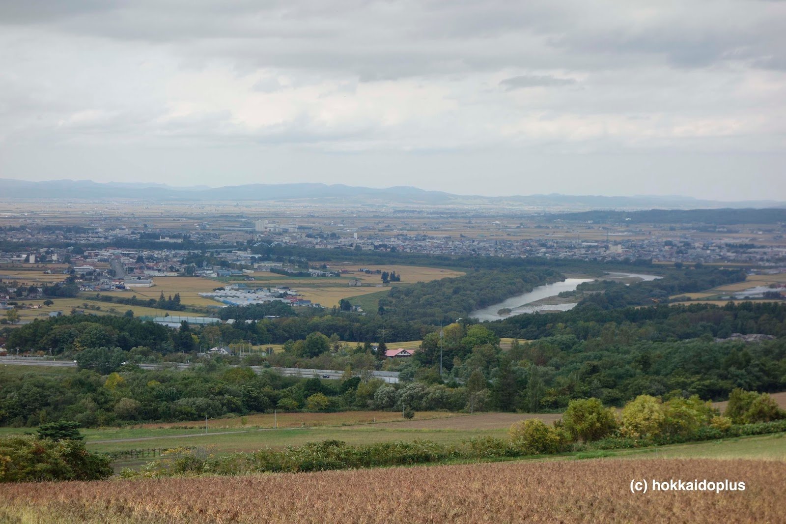 🚌 토토로 고개의 네코버스(토토로토게노네코바스) 이미지 8